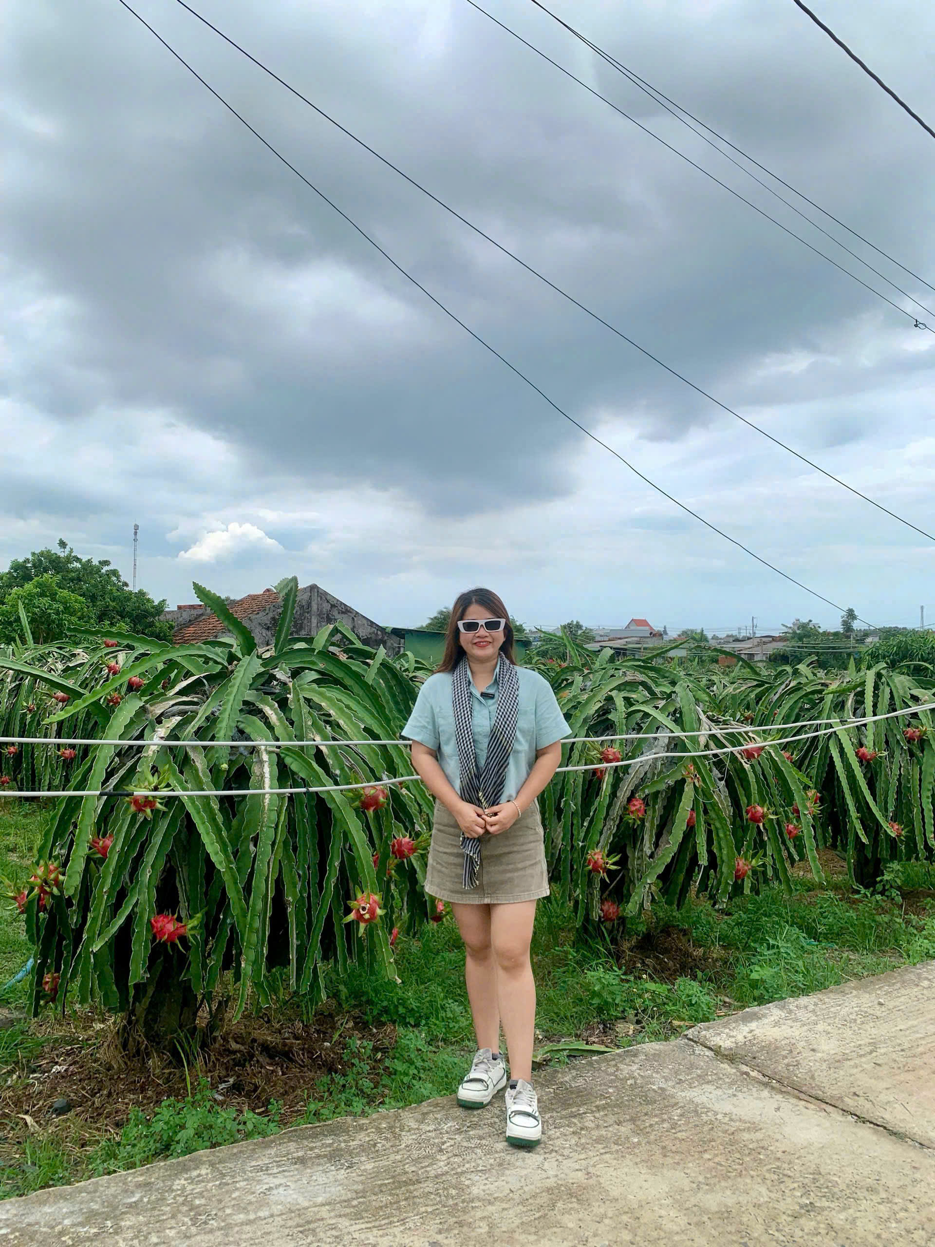 Sản phẩm thanh long ruột đỏ