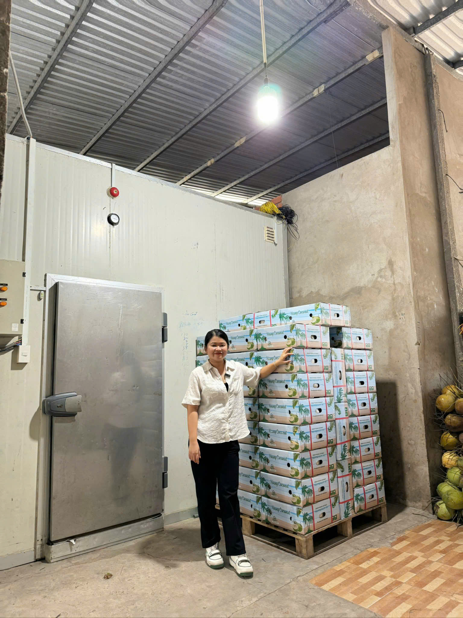 Sản phẩm về dừa