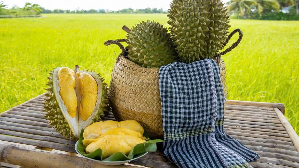 Sản phẩm về sầu riêng