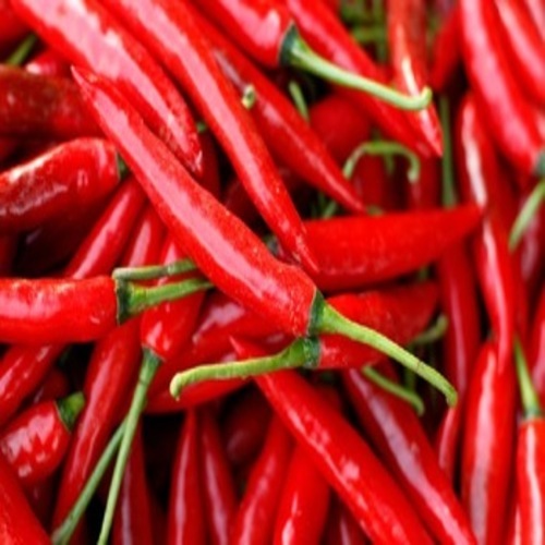 Xuất khẩu ớt tăng đột biến.