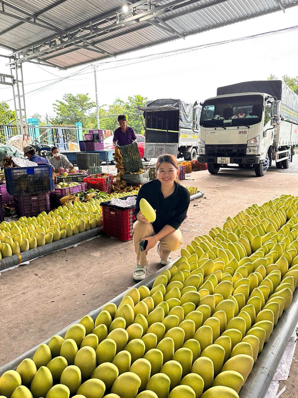 Xuất khẩu xoài đứng thứ 3.